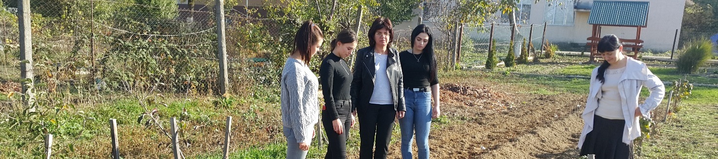 Закладання колекційних маточних насаджень клонових підщеп для кісточкових культур